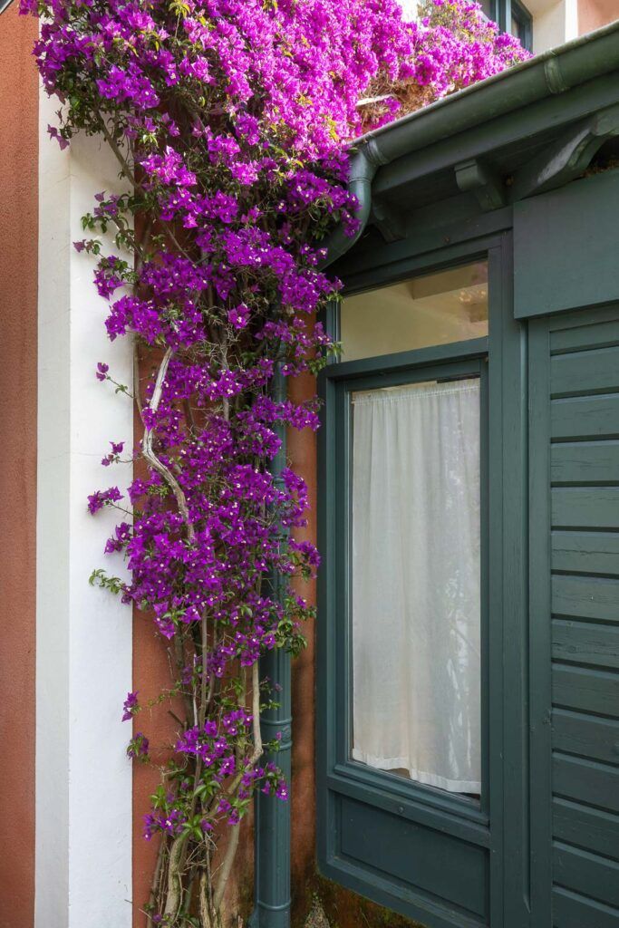 apartamentos del norte andrin 26