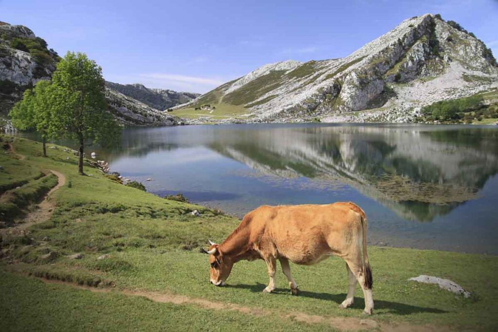 vivir en asturias 2
